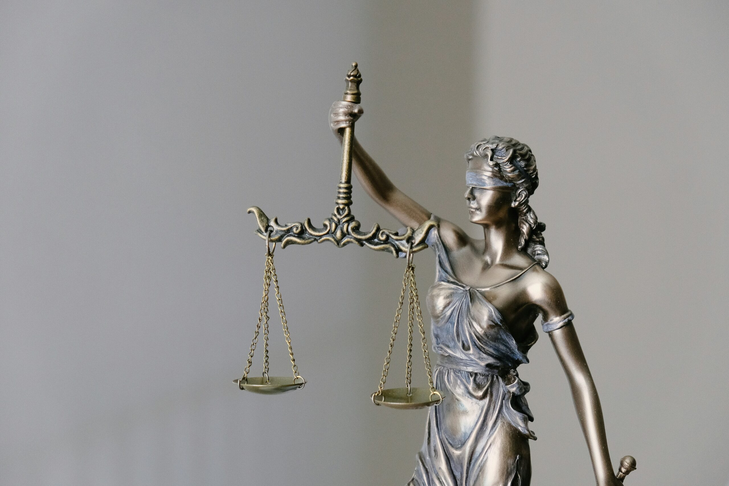 family law specialization